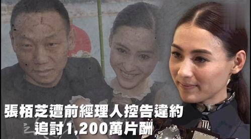 著名的娱乐吃瓜