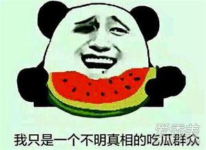 吃瓜群众在线吃瓜的意思,吃瓜群众在线“瓜田”狂欢